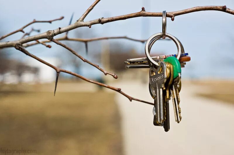 She lose my keys. Find keys. i&#039;ve lost my keys. can&#039;t find keys. i can&#039;t find my keys.