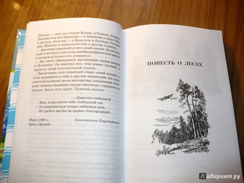 Книга Паустовского Мещерская сторона. Паустовский к г повесть о лесах. Паустовский к. г. "Мещерская сторона". Мещерская сторона иллюстрации. Кратчайшее содержание мещерская сторона паустовский