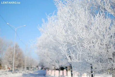Зимняя караганда