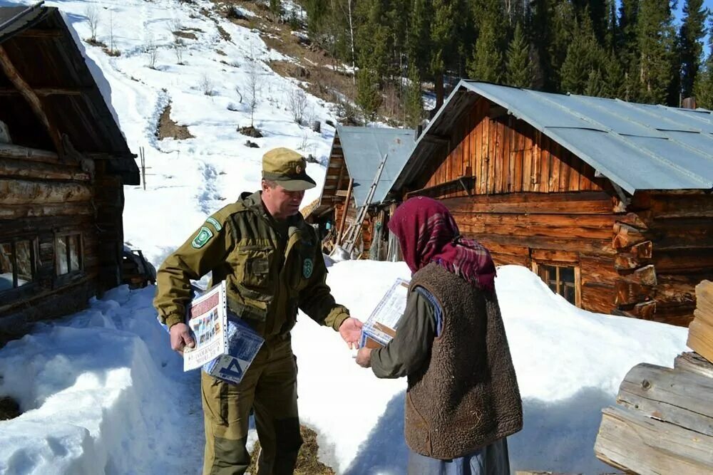 Живет в тайге лыкова