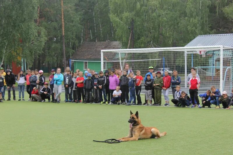 Camp name. Лагерь имени Олега Кошевого Тюмень. Детский лагерь им Олега Кошевого в Тюмени. Олега Кошевого лагерь Хабаровск. Лагерь Олега Кошевого, палаточный лагерь.