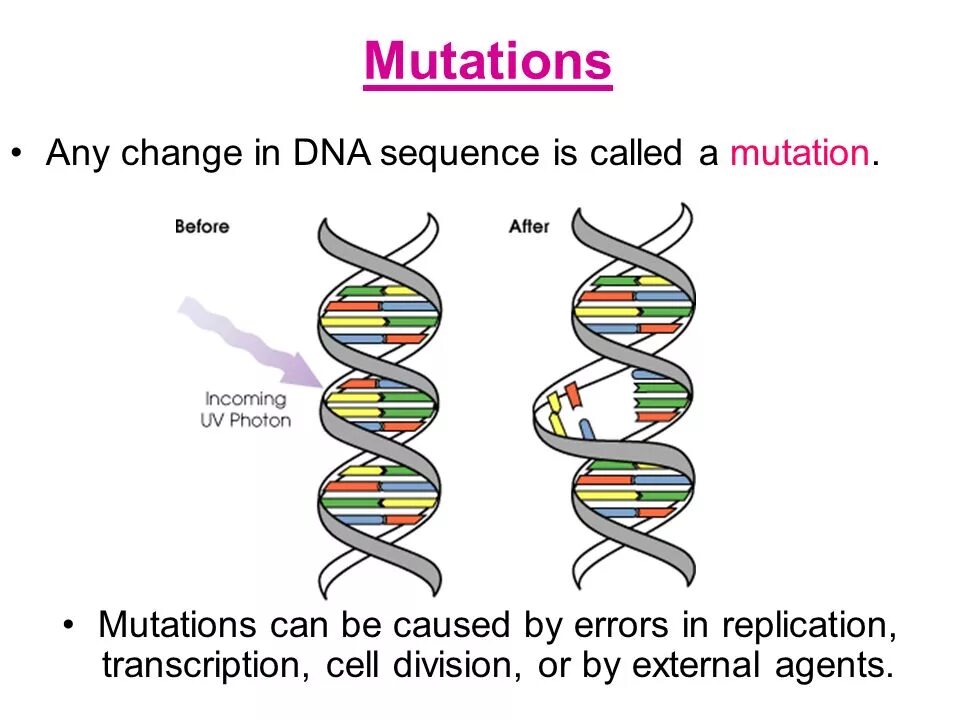 Global mutation. ДНК. Мутированная ДНК. Структура ДНК С мутацией. Ген мутация.