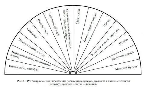 Многомерная медицина л г пучко