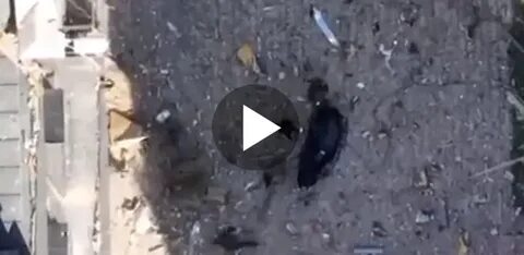 Кадров выложил видео