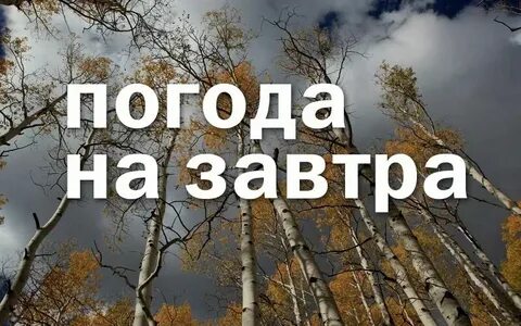 Сосновый бор погода сегодня по часам
