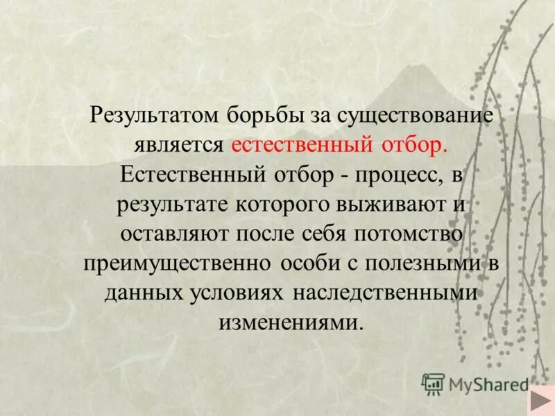 Наилучшие результаты в борьбе с