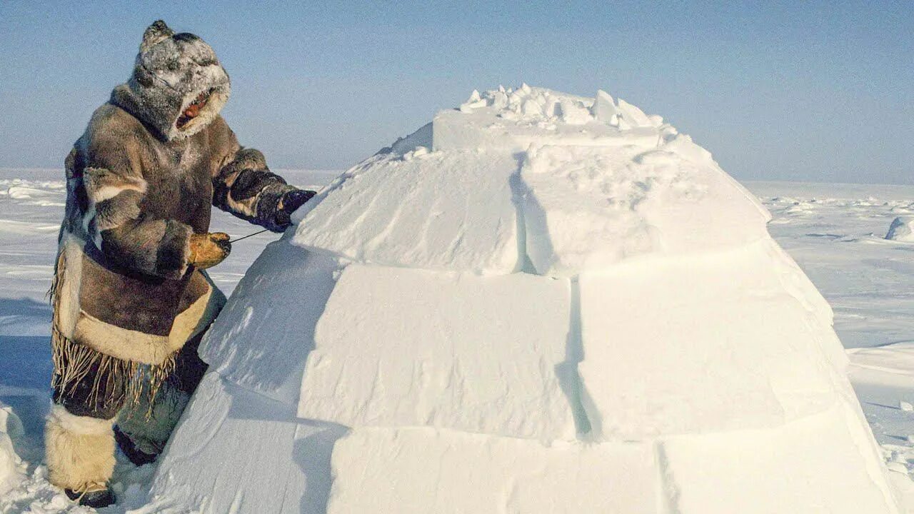 Чукчи, ханты, манси, якуты, ненцы. Ненцы эскимосы алеуты. Коренные народы арктики и тундры. Нунавут эскимосы. Житель севера давший название мороженому.