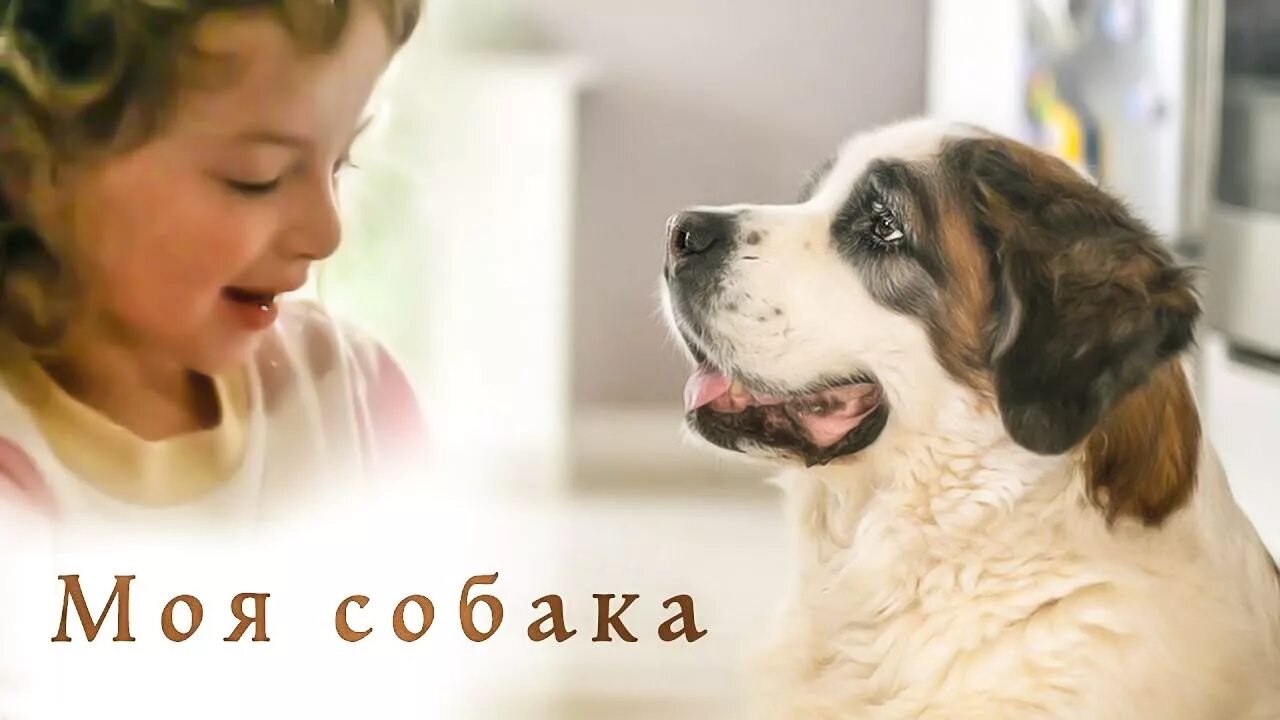 Песни про собачек. Моя собака. Собака в детских песенках. Песня про собачку. Щенки песни день отца