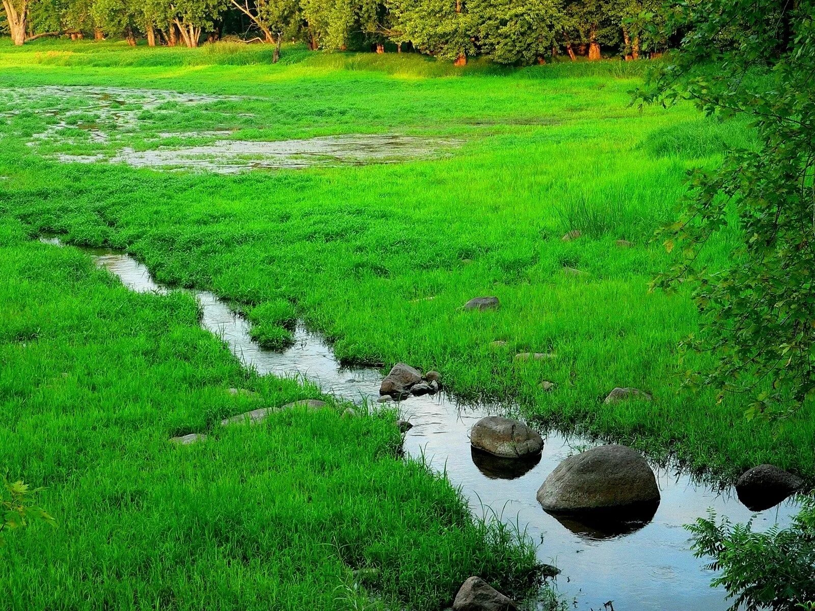 Река малый бачат кемеровская область. Бесчисленное множество малых рек. Бесчисленное множество малых рек. Маленькая речка. Маленькие речки в кибрае.