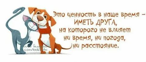 Не влияет ни на один