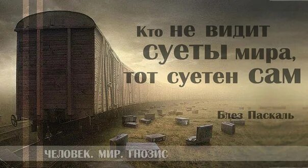 Не видеть суеты