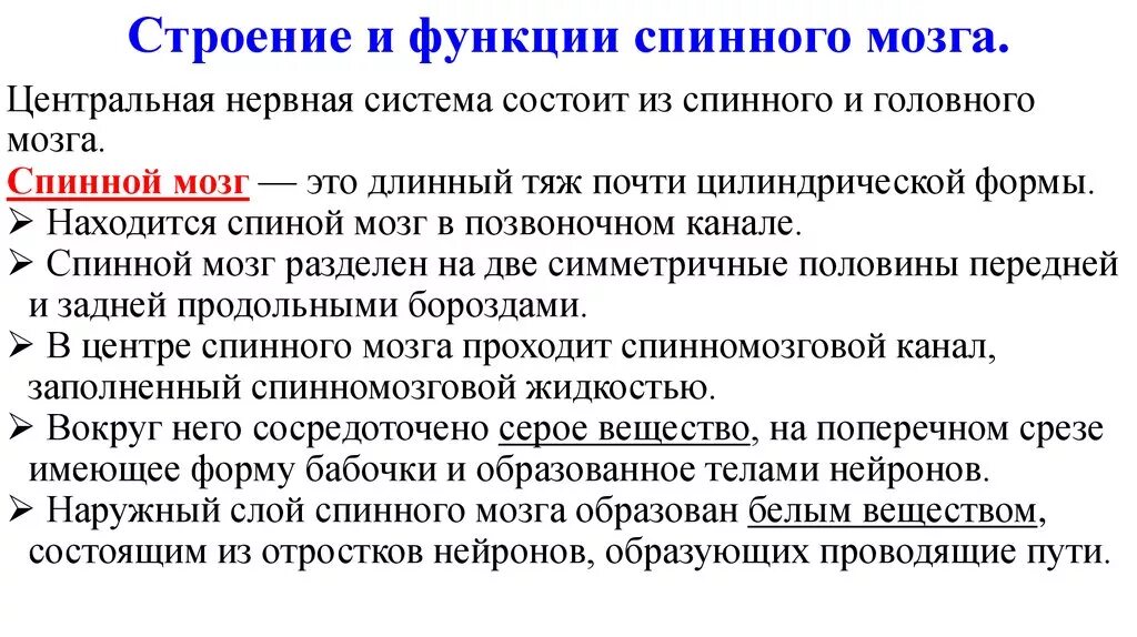 Дайте характеристику спинного мозга. Функции спинного мозга 8 класс биология таблица. Спинной мозг строение и функции. Спинной мозг строение и функции таблица. Функции спинного мозга кратко таблица.