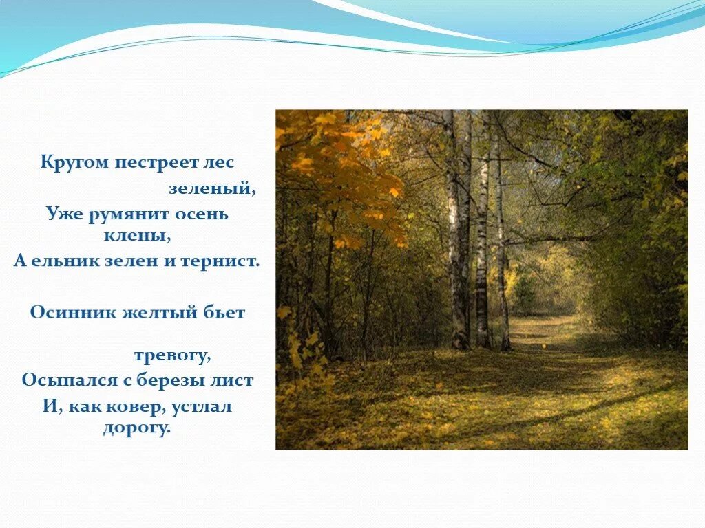Русский лес в поэзии и живописи. Уже румянит осень клены а ельник зелен и тенист. Кругом пестреет. Кругом пестреет лес зеленый. Кругом пестреет.