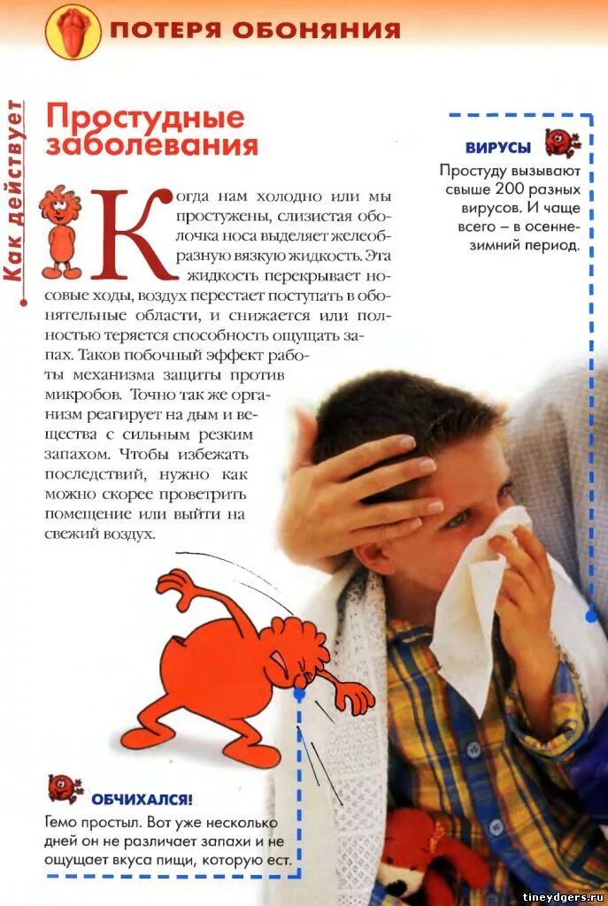 Таблетки восстанавливающие обоняние. Препараты восстанавливающие обоняние. Таблетки восстанавливающие обоняние. После простуды пропало обоняние и вкус. Обоняние при коронавирусе.