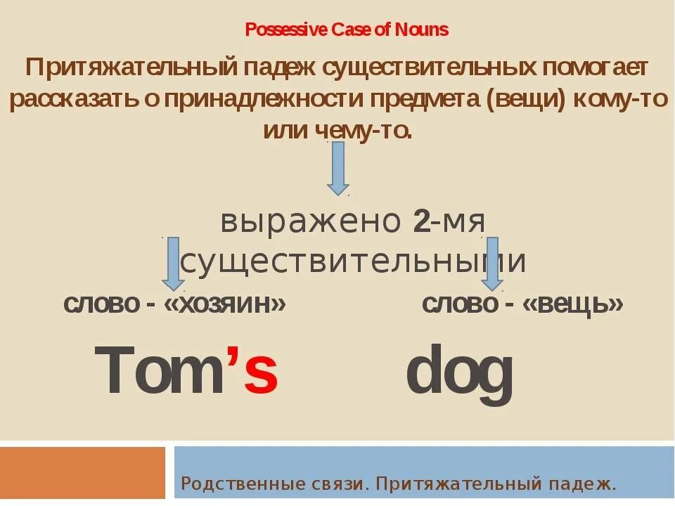 Притяжательный падеж в английском языке 3 класс правило. Существительное в притяжательном падеже в английском языке. Притяжательные конструкции в английском языке. Притяжательный падеж в английском правило 2 класс. Программа апострофы