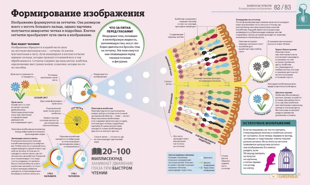 Как будет теле работать