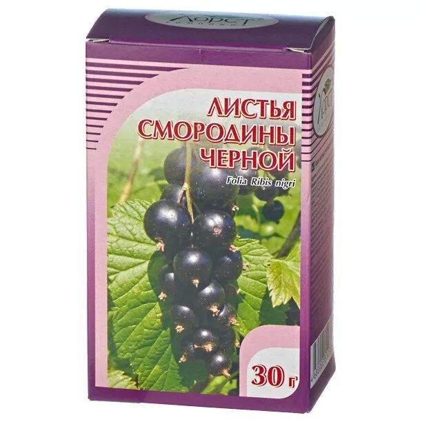 Как называется лист смородины. Хорст листья смородины черной 30 г. смородина чёрная в аптеках. плоды черной смородины в аптеке. смородиновый лист в аптеке.