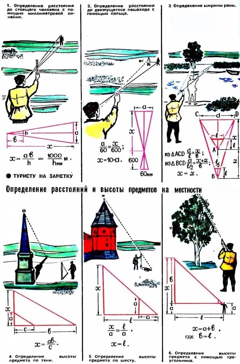 Как измерить высоту предмета. Как найти расстояние до объекта ОБЖ. Как измерить расстояние до объекта. Как узнать высоту объекта на расстоянии.