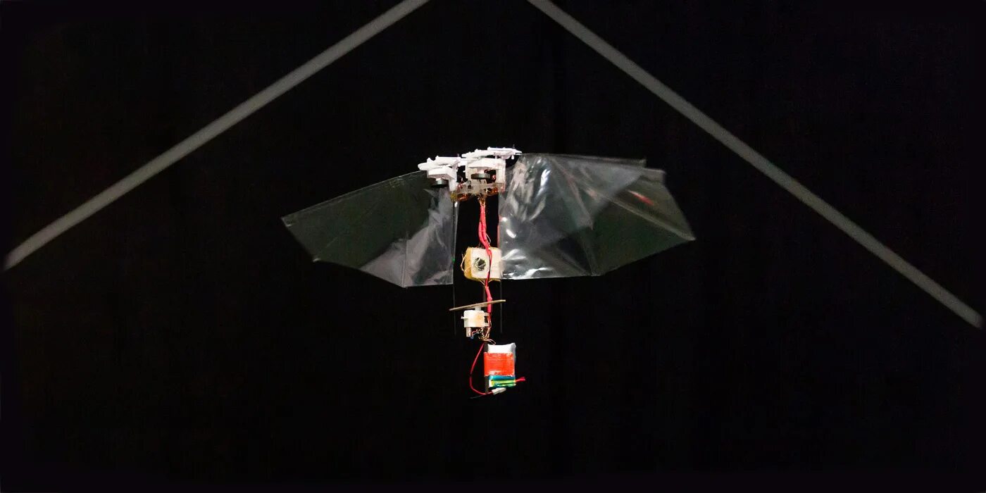 Какой робот летает. Delfly. delfly nimble.. летающая робототехника сетка. fly robot.