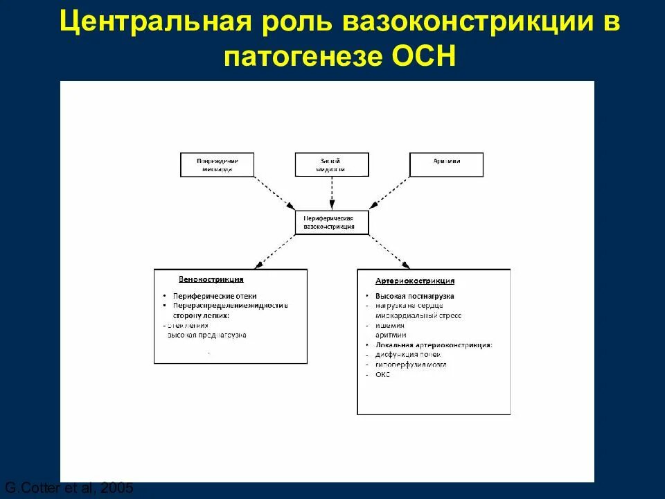 Осн тест. Патогенез осн. осн этиология и патогенез. осн патогенез патогенез. патогенез вазоконстрикции.