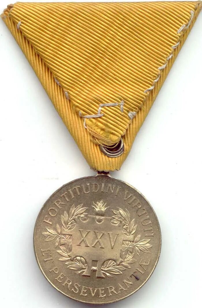 Медали опу мвд россии. Медаль заслуженного извращенца. Знак отличия за 20 лет беспорочной службы. Медаль за выслугу 10 фсин. Знак отличия за xv лет беспорочной службы.