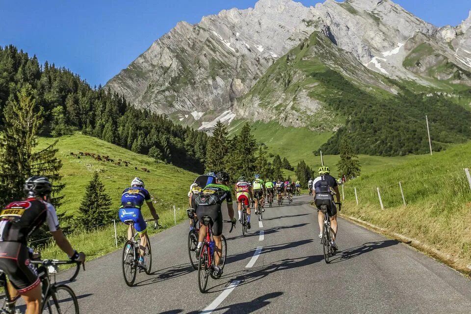Cycling camp. Велонск. Велопамперс для чего. Са калобра майорка дорога. Наблюдение за поездкой велосипедиста.