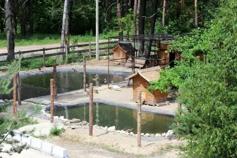 Поселок березка тамбовский