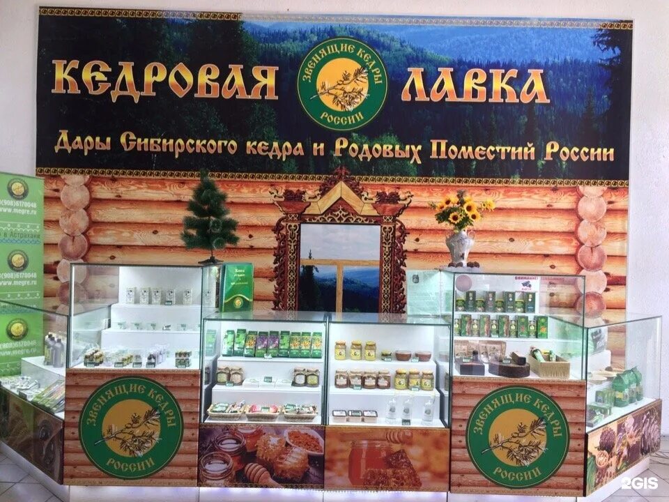 мегре владимир николаевич анастасия. звенящие кедры россии секта. секта кедры. звенящие кедры россии магазин. звенящие кедры россии.