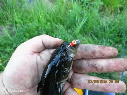 Мормышка на ротана