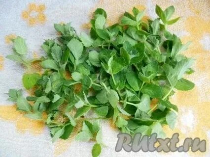 Сушить или морозить мяту