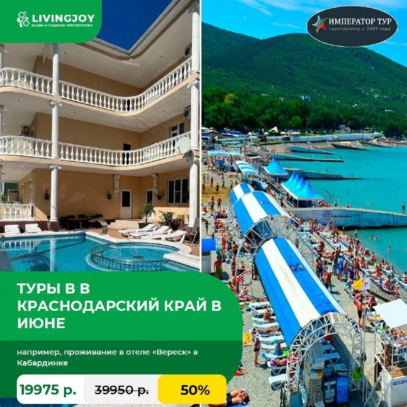 ливинг джой