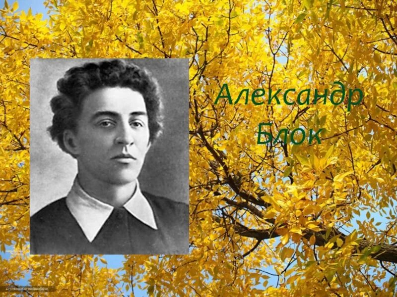 Стих осенняя воля. Осенний день блок. александр блок осень. александр блок осенний день. осенняя воля блок.