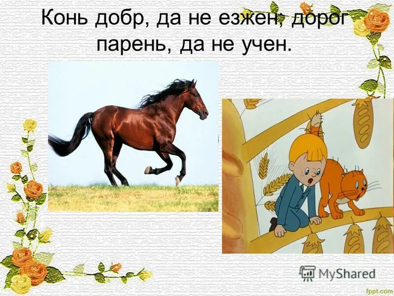 Ваша любимая пословица. Пословицы про лошадей.