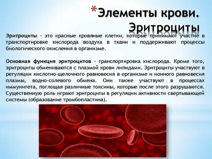 Транспортная функция эритроцитов
