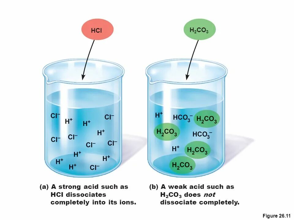 Растворение натрия в воде реакция. Натрий и вода. HCI. H2co3 электролит. Electrolytic dissociation and Electrolytes.