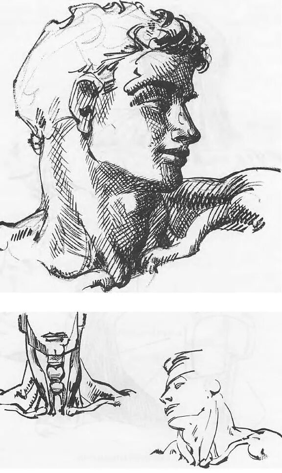 Шея рисунок. Зарисовки головы с шеей. Наброски шеи. Шея и голова для рисования. Нарисовать шею.