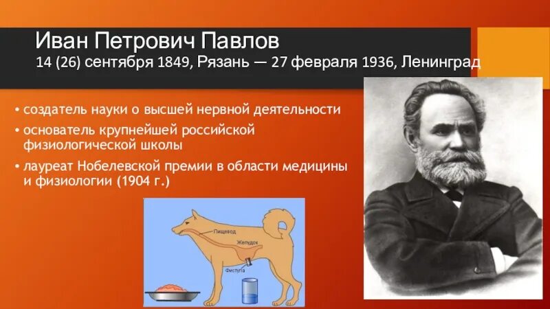 Годы жизни ивана петровича. Годы жизни ивана петровича. Годы жизни ивана петровича. Годы жизни ивана петровича. Годы жизни ивана петровича.