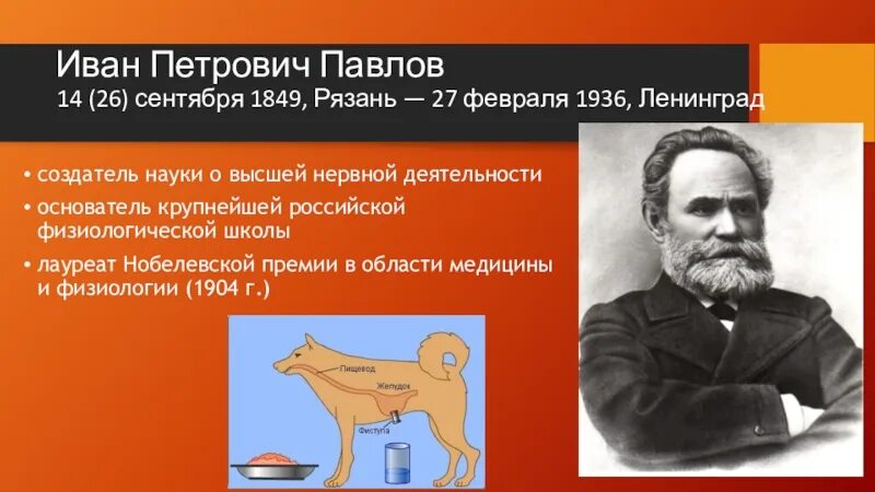 Наука и п павлова. Достижения Павлова Ивана Петровича. Открытие Ивана Петровича Павлова.