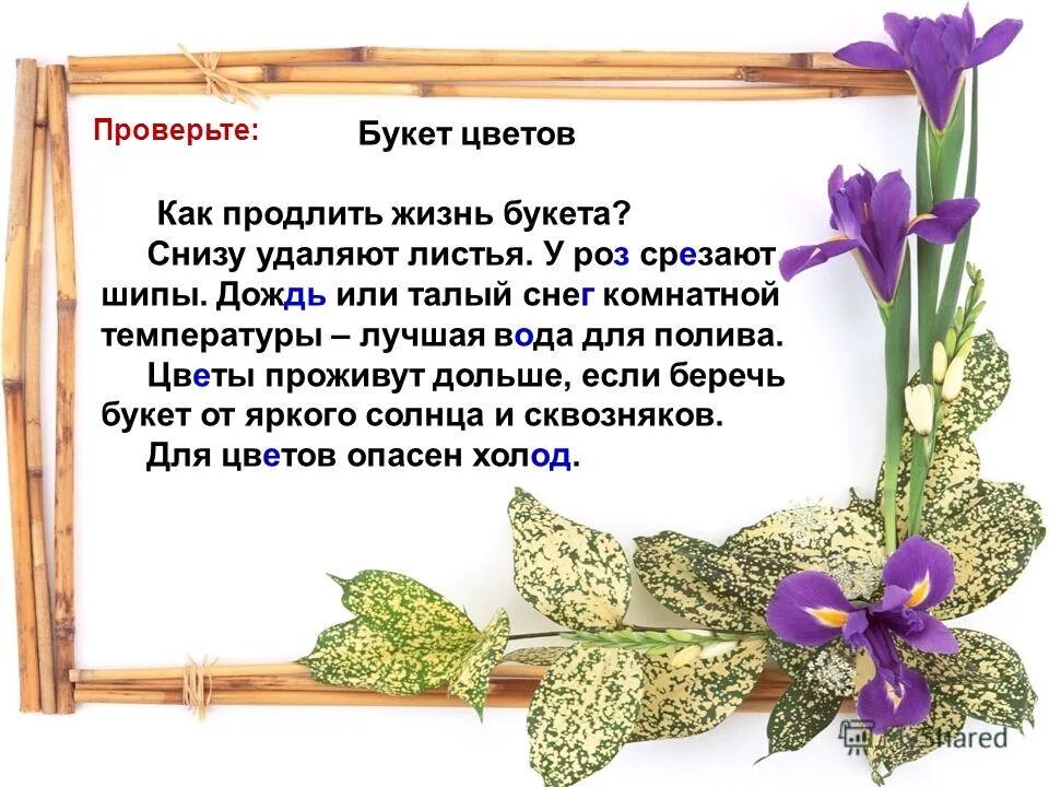 Польем цветы как пишется. Методы полива растений. Алгоритм поливания растений. Алгоритм полив цветов для детей. Польем цветы как пишется.