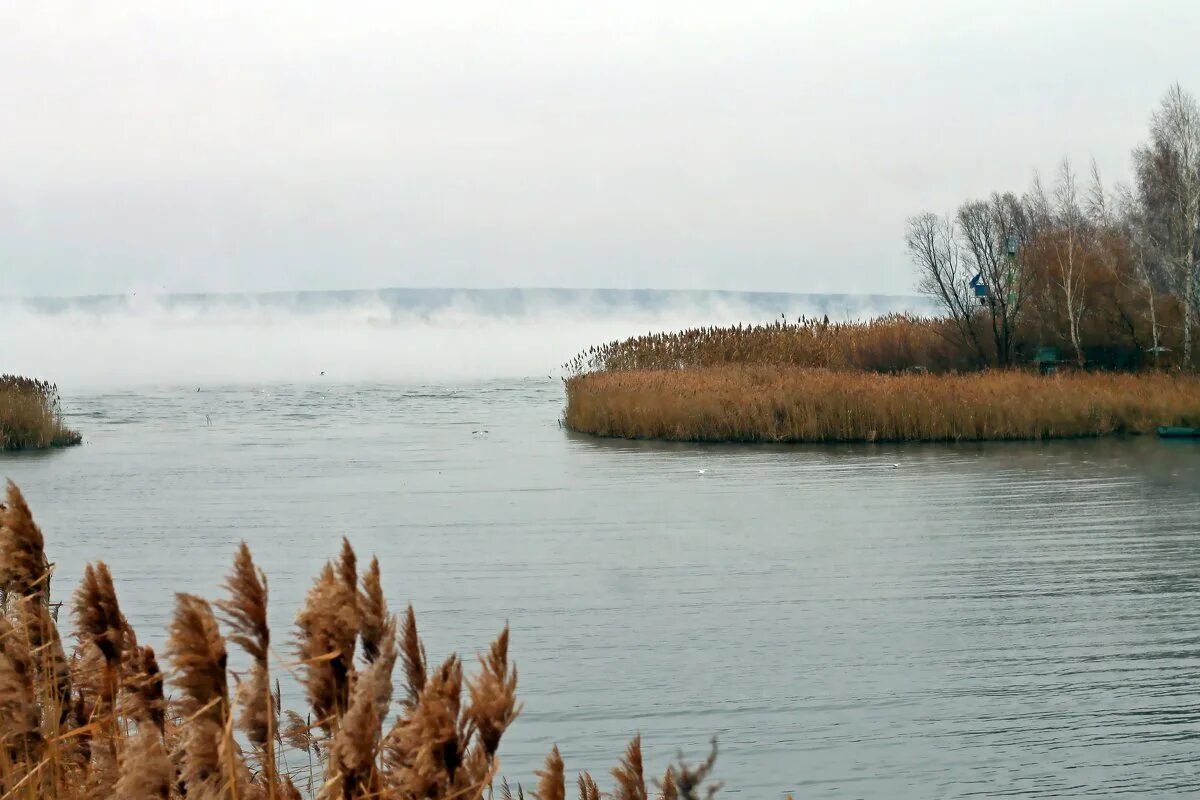 На курском водохранилище. Курское водохранилище Курчатов. Курское Курчатовское море. Водохранилище Курчатов Курская область. Курчатовское водохранилище Курской.