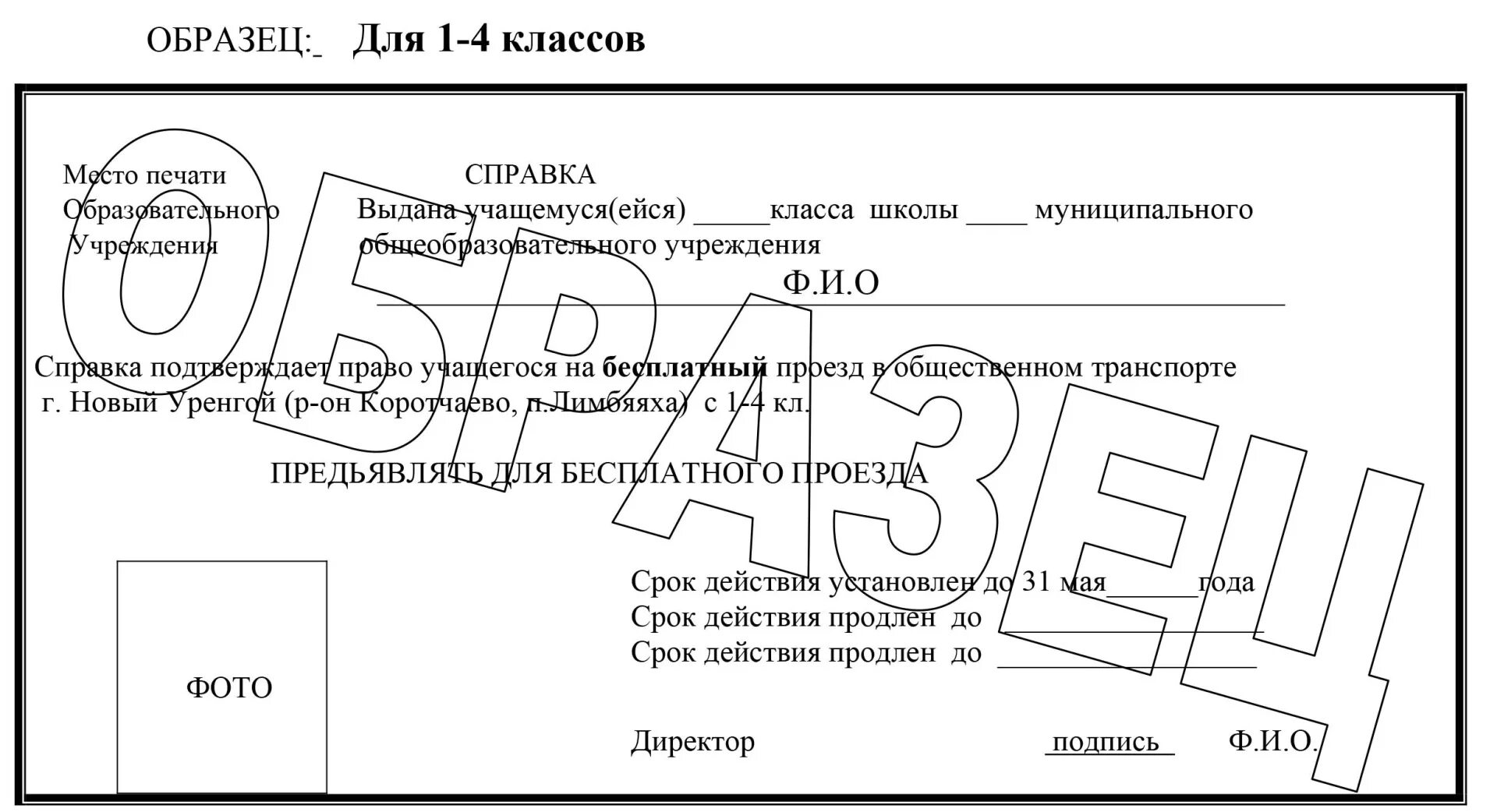 Справка из школы о том. Справка школьника. Справка в школу. Справка для проездного школьного. Справка со школы с фотографией.