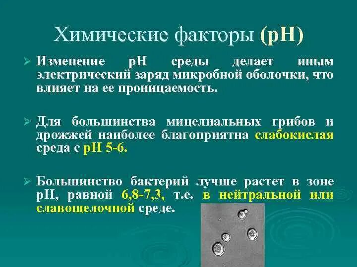 Н изменился