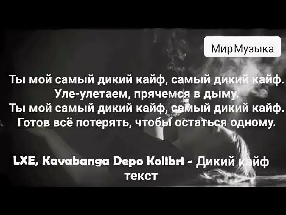 Ты мой самый дикий кайф текст. Дикий кайф текст. Текст песни дикий кайф. Kavabanga & Depo & Kolibri – дикий кайф. Песни самый дикий кайф