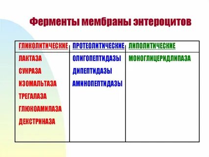 Мембрана ферменты