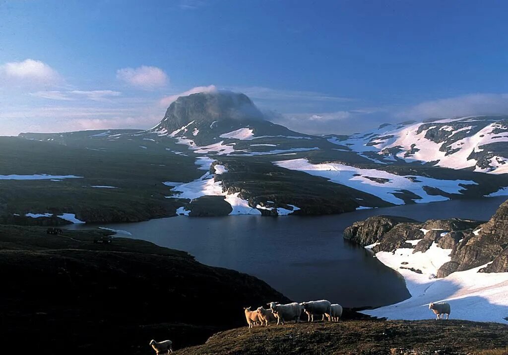 Особенности рельефа норвегии. Плато Хардангервидда. Хардангервидда в Норвегии. Хардангервидда (национальный парк). Национальный парк Хардангервидда климат.