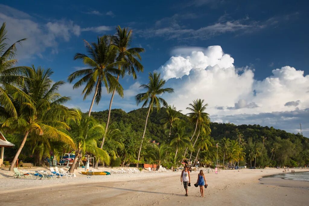 Панган природа. Самуи форум. Самуи форум. Самуи форум. Самуи форум.