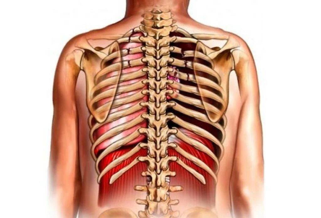 Повреждение легкого ребрами