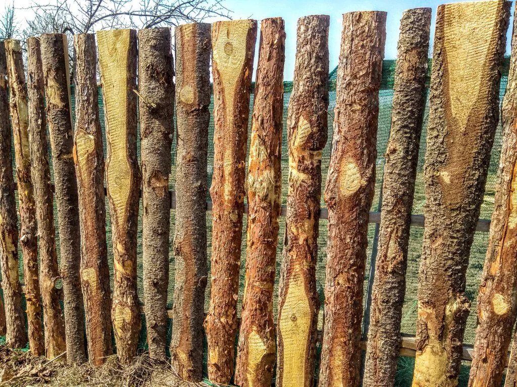 Забор из горбыля красивый. Сделать из горбыля. Деревянный забор из горбыля. Заборы из горбыля и необрезной доски. Ворота из горбыля.