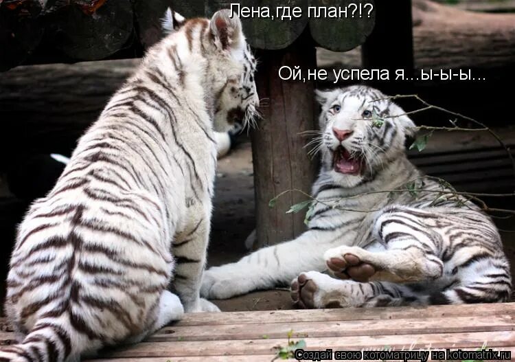 смешные картинки про засранцев. много дел. марк уолберг большое дело. работник архива. большое дело 1998 марк уолберг.