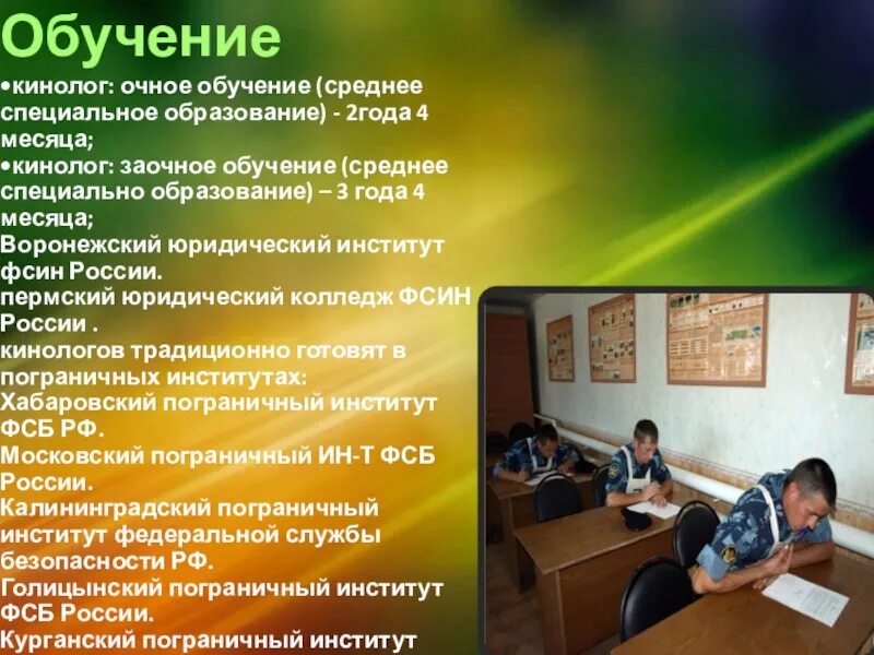 Какое выбрать второе образование. Образование кинолога заочно. обучение среднее образование срок. очное образование среднее образование входит. специальное обучение 2.